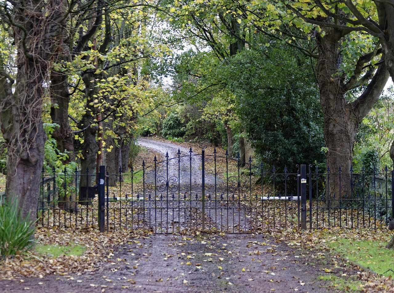 Black iron driveway gate across a tree lined gravel lane